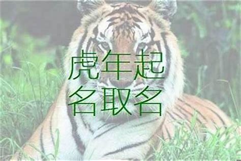 屬虎適合的名字|属虎取名宜用字大全,属虎起名字用什么字最好